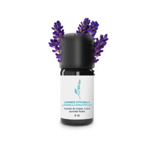 hariliku lavendli eeterlik õli, 100% orgaaniline ja käsitööna valmistatud