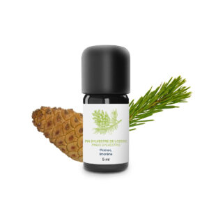 hariliku männi eeterlik õli – 100% mahe ja käsitööna valmistatud