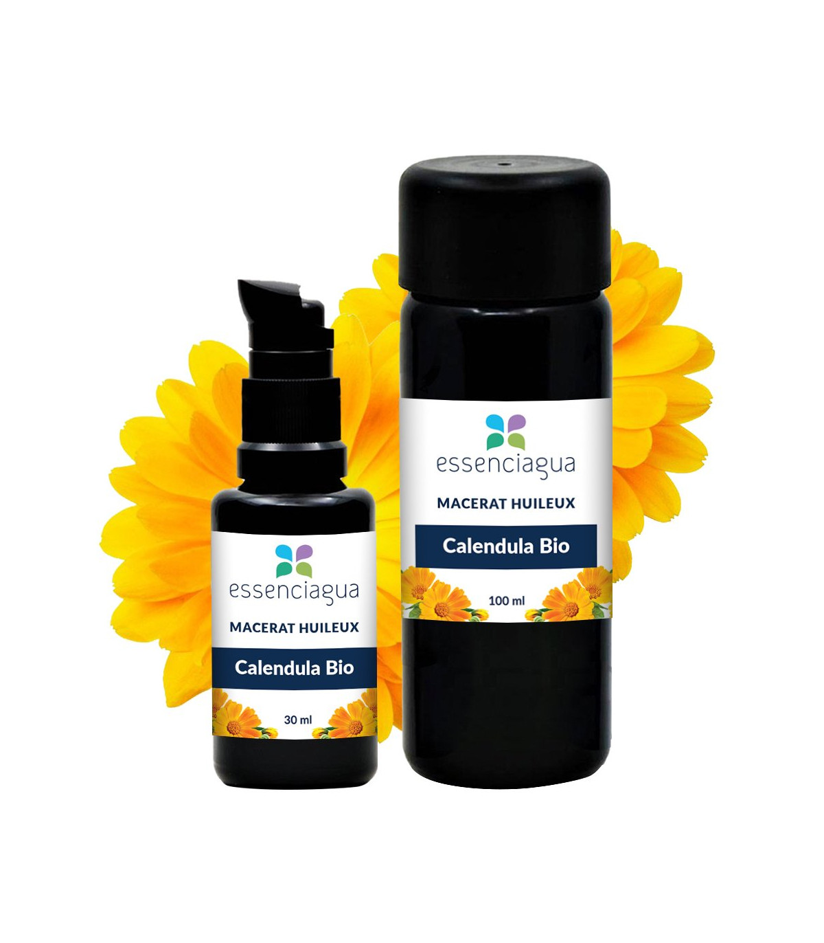 saialille makeraat (õli) saialille makeraat (õli)