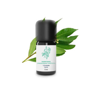 ravintsara eeterlik õli – 100% orgaaniline ja käsitööna valmistatud