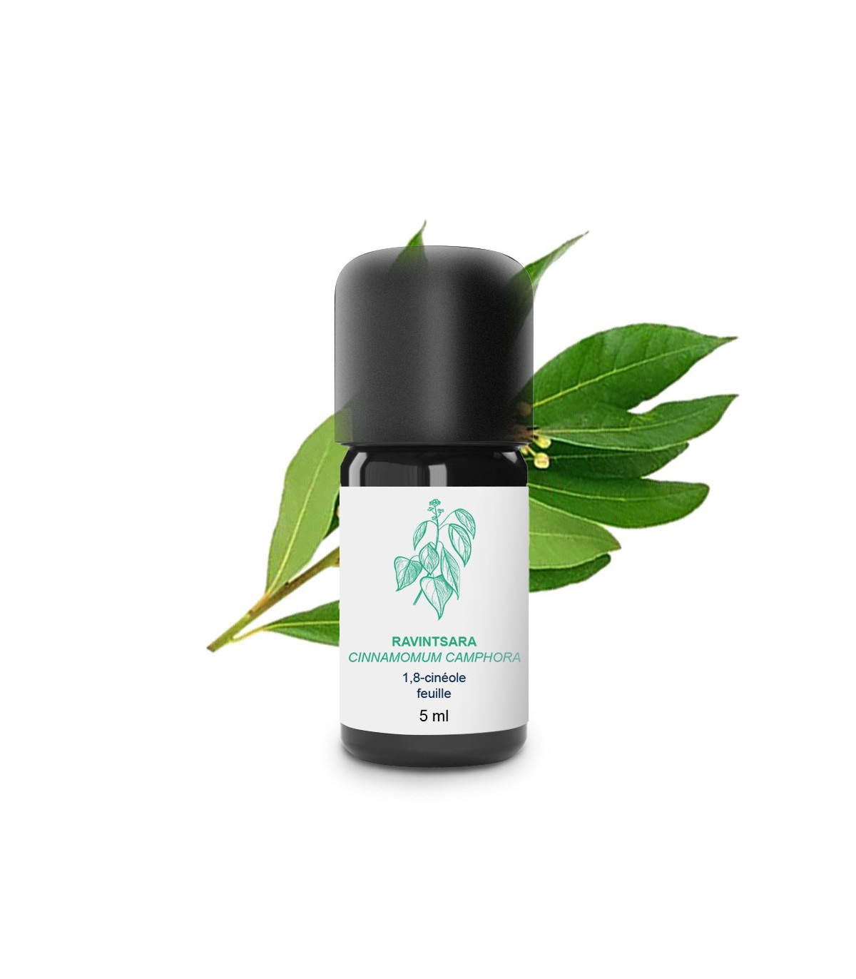 ravintsara eeterlik õli – 100% orgaaniline ja käsitööna valmistatud ravintsara eeterlik õli – 100% orgaaniline ja käsitööna valmistatud